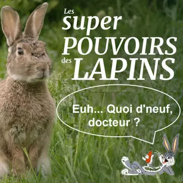 Les super pouvoirs du lapin