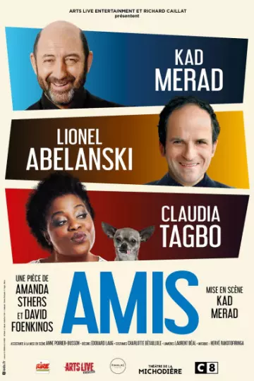 Amis - Amanda Sthers, Davis Foenkinos