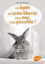 Un lapin en semi-liberté chez moi,  c'est possible !