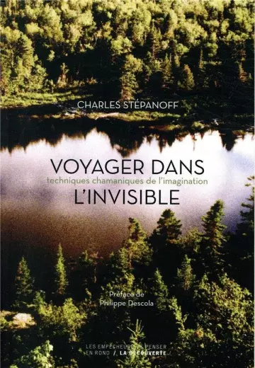 VOYAGER DANS L'INVISIBLE ; TECHNIQUES CHAMANIQUES DE L'IMAGINATION - CHARLES STEPANOFF