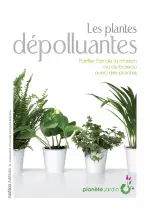 Les plantes dépolluantes