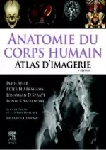 Anatomie du corps humain