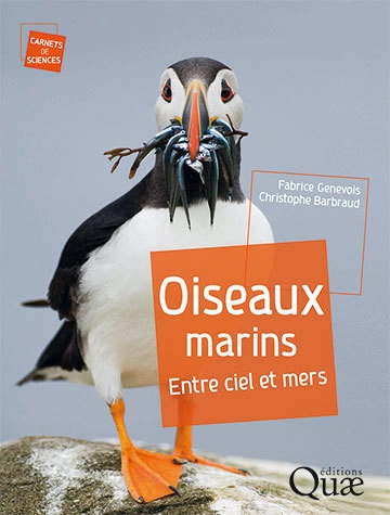 Oiseaux marins. Entre ciel et mers