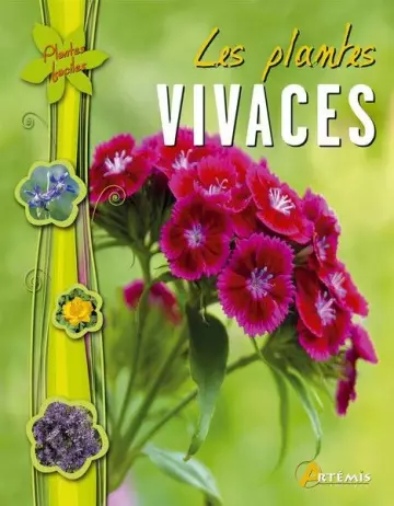 LES PLANTES VIVACES