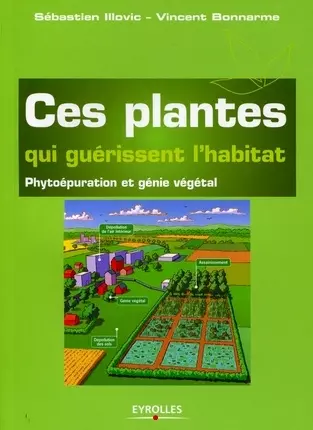 Ces plantes qui guérissent l’habitat