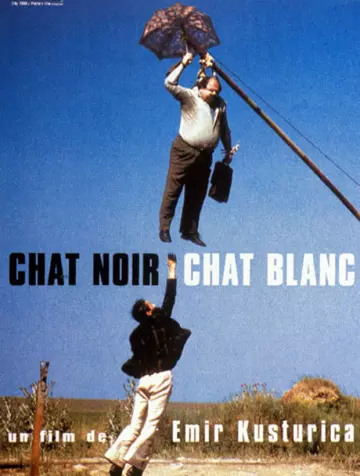 Chat noir, chat blanc